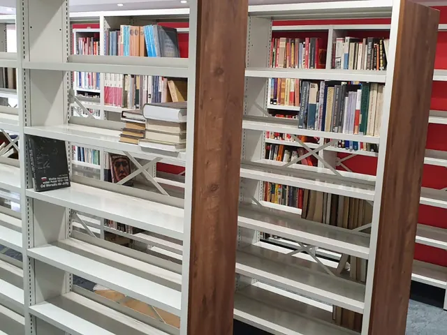 Bibliotheekstellingen met boeken